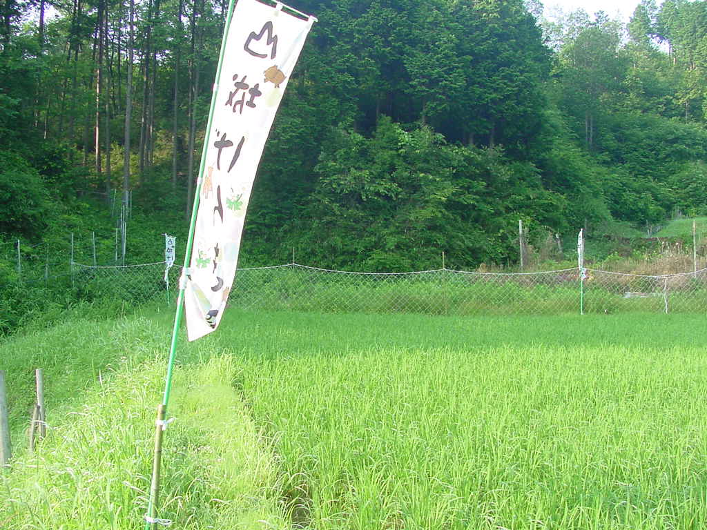 農地・水・環境保全会　田園風景