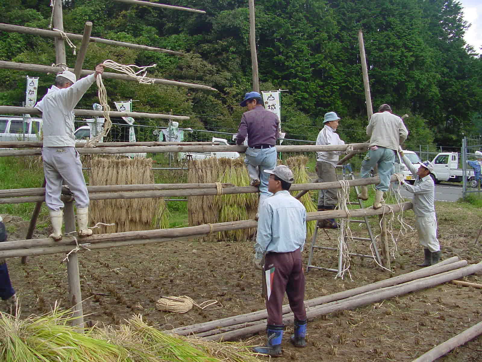 お米の乾燥を天然のお日様と風にお願い