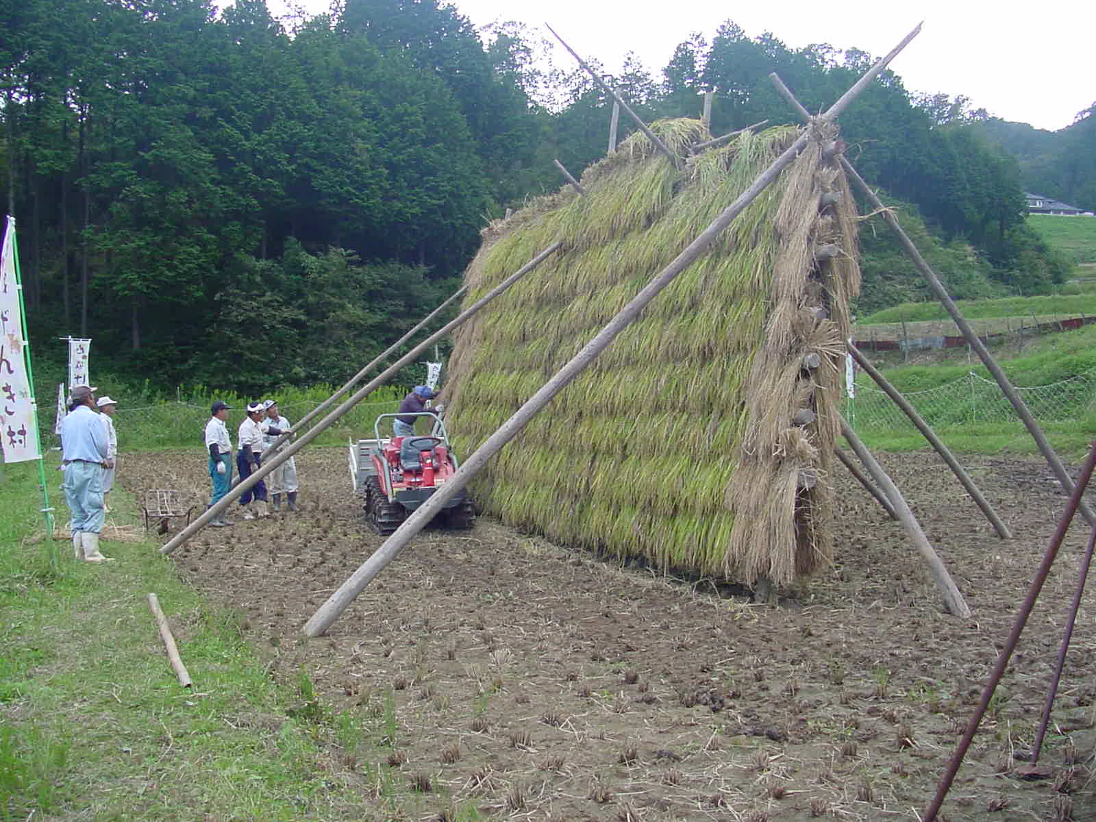 稲穂などがかけやすい身長より少し上程度のもの